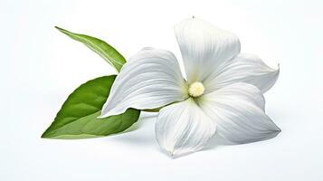 Photo of beautiful Trillium flower isolated on white background. Generative AI