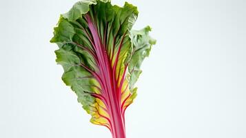 Photo of beautiful Swiss Chard flower isolated on white background. Generative AI