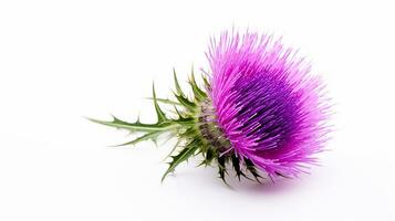 Photo of beautiful Thistle flower isolated on white background. Generative AI