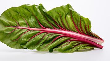 Photo of beautiful Swiss Chard flower isolated on white background. Generative AI