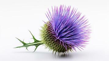 Photo of beautiful Thistle flower isolated on white background. Generative AI