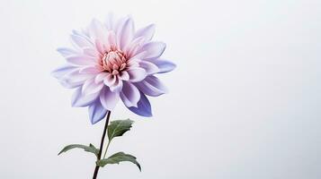 foto de hermosa valores flor aislado en blanco antecedentes. generativo ai