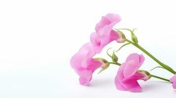 foto de hermosa dulce guisante flor aislado en blanco antecedentes. generativo ai