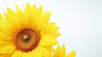 foto de hermosa girasol aislado en blanco antecedentes. generativo ai