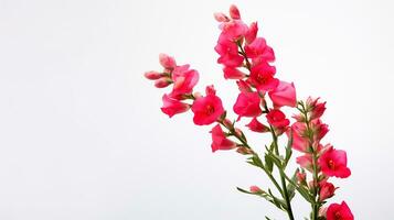 Photo of beautiful Snapdragon flower isolated on white background. Generative AI