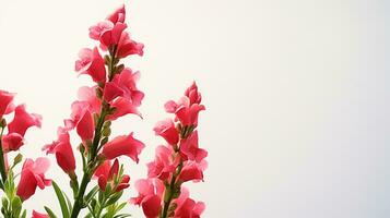 Photo of beautiful Snapdragon flower isolated on white background. Generative AI