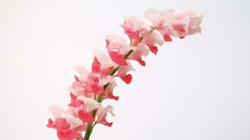 Photo of beautiful Snapdragon flower isolated on white background. Generative AI