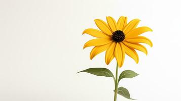 foto de hermosa Rudbeckia flor aislado en blanco antecedentes. generativo ai