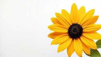 Photo of beautiful Rudbeckia flower isolated on white background. Generative AI