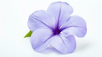 Photo of beautiful Periwinkle flower isolated on white background. Generative AI