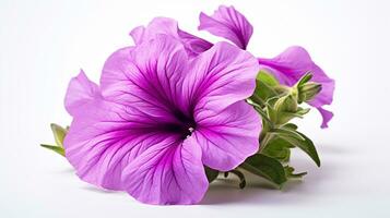 Photo of beautiful Petunia flower isolated on white background. Generative AI