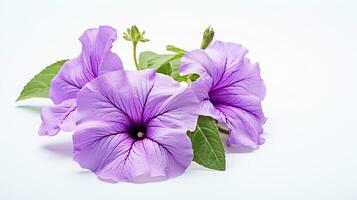 Photo of beautiful Petunia flower isolated on white background. Generative AI