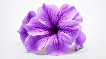 Photo of beautiful Petunia flower isolated on white background. Generative AI