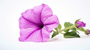 Photo of beautiful Petunia flower isolated on white background. Generative AI