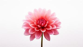 Photo of beautiful Pink flower isolated on white background. Generative AI