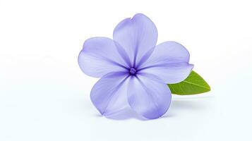 Photo of beautiful Periwinkle flower isolated on white background. Generative AI