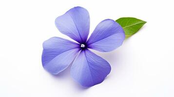 Photo of beautiful Periwinkle flower isolated on white background. Generative AI
