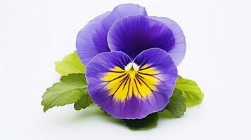 Photo of beautiful Pansy flower isolated on white background. Generative AI