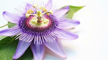 foto de hermosa pasionaria flor aislado en blanco antecedentes. generativo ai