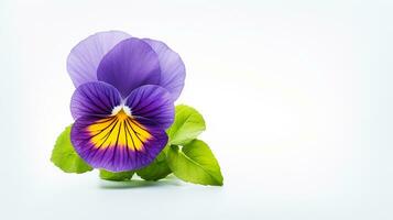 Photo of beautiful Pansy flower isolated on white background. Generative AI