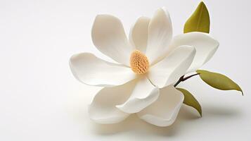 Photo of beautiful Magnolia flower isolated on white background. Generative AI