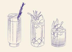 three glasses with alcoholic cocktail line drawing by hand vintage illustration vector