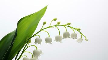 Photo of beautiful Lily of the Valley flower isolated on white background. Generative AI