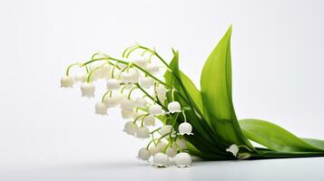 Photo of beautiful Lily of the Valley flower isolated on white background. Generative AI