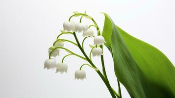 Photo of beautiful Lily of the Valley flower isolated on white background. Generative AI