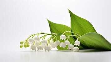 Photo of beautiful Lily of the Valley flower isolated on white background. Generative AI