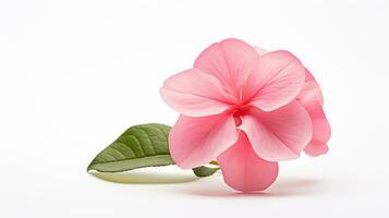 foto de hermosa impatiens flor aislado en blanco antecedentes. generativo ai