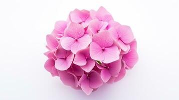 Photo of beautiful Hydrangea flower isolated on white background. Generative AI