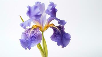 Photo of beautiful Iris flower isolated on white background. Generative AI