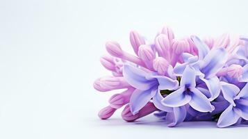 Photo of beautiful Hyacinth flower isolated on white background. Generative AI