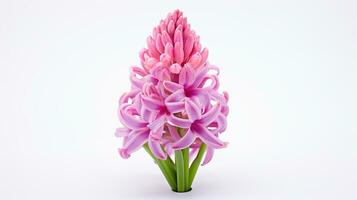 Photo of beautiful Hyacinth flower isolated on white background. Generative AI