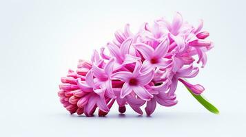 Photo of beautiful Hyacinth flower isolated on white background. Generative AI