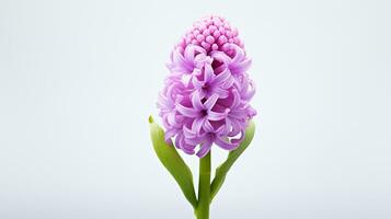 Photo of beautiful Hyacinth flower isolated on white background. Generative AI