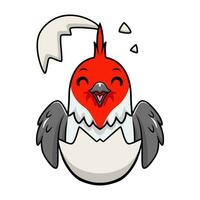 linda rojo crestado cardenal pájaro dibujos animados dentro desde huevo vector