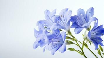 Photo of beautiful Jacob's Ladder flower isolated on white background. Generative AI