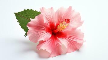 Photo of beautiful Hibiscus flower isolated on white background. Generative AI