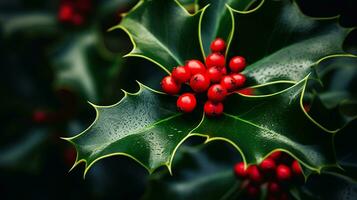 Photo of beautiful Holly flower isolated on white background. Generative AI