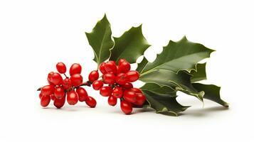 Photo of beautiful Holly flower isolated on white background. Generative AI