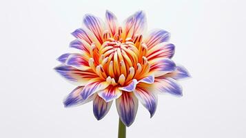 Photo of beautiful Harlequin flower flower isolated on white background. Generative AI