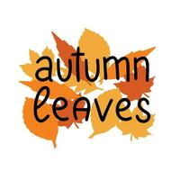 Autumn leaves. Handwriting Autumn short phrase. Calligraphy Fall quotes. Square text banner. vector