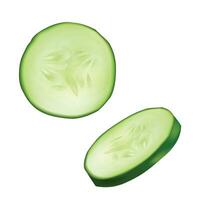 Vector slice of fresh cucumber isolated on a background