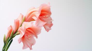 Photo of beautiful Gladiolus flower isolated on white background. Generative AI