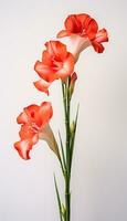Photo of beautiful Gladiolus flower isolated on white background. Generative AI