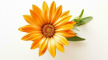 Photo of beautiful Gazania flower isolated on white background. Generative AI