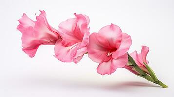 Photo of beautiful Gladiolus flower isolated on white background. Generative AI