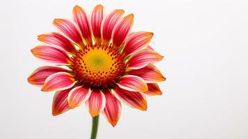 foto de hermosa gaillardia flor aislado en blanco antecedentes. generativo ai